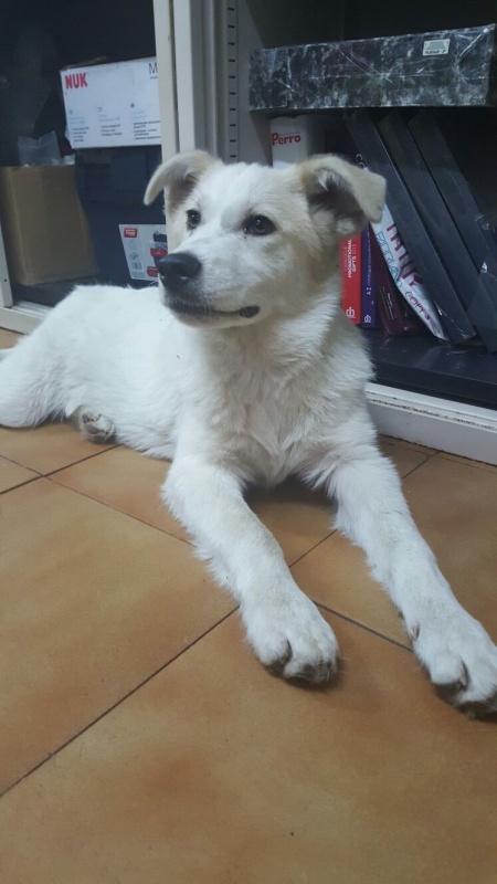 Foto Nevo
