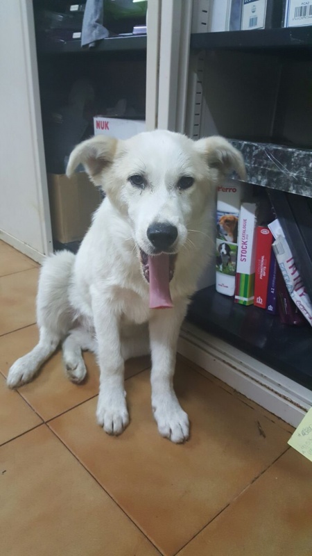Foto Nevo