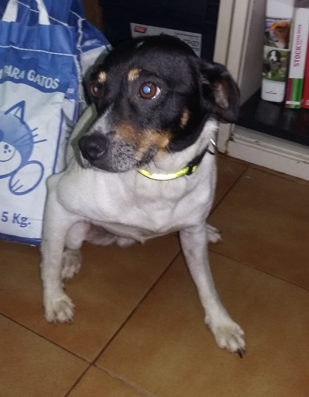 Foto Uno