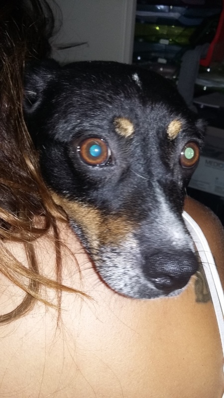 Foto Uno
