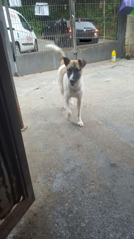 Foto Rocky