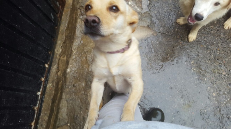 Foto Deisy