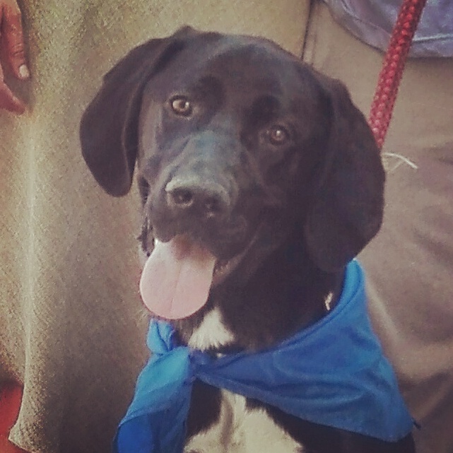Foto Negrita
