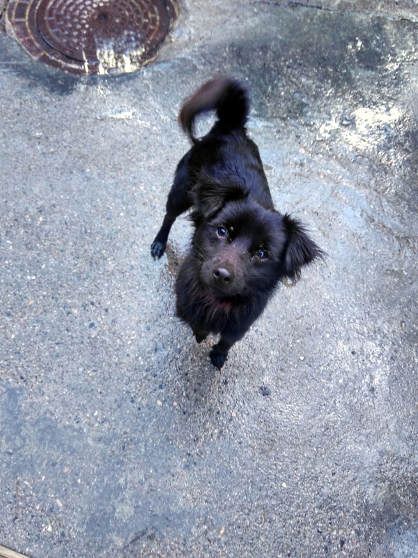 Foto Rolo
