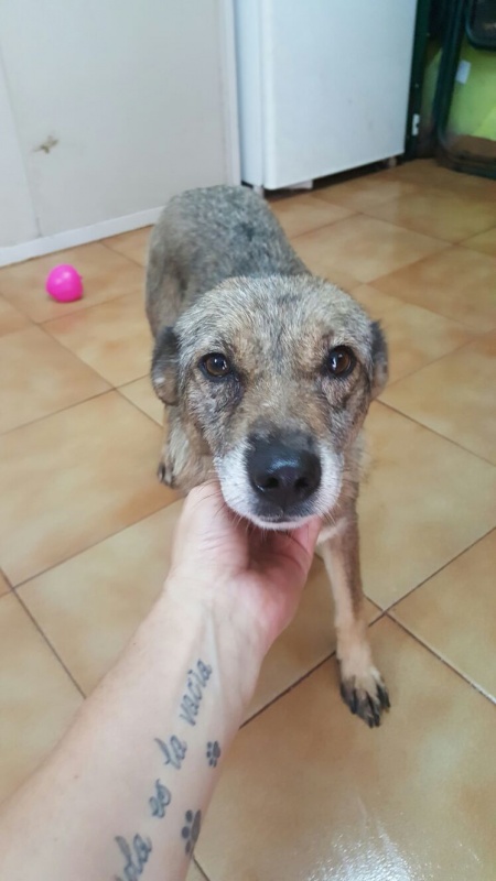 Foto Lobita