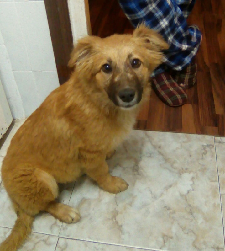 Foto Laguerza
