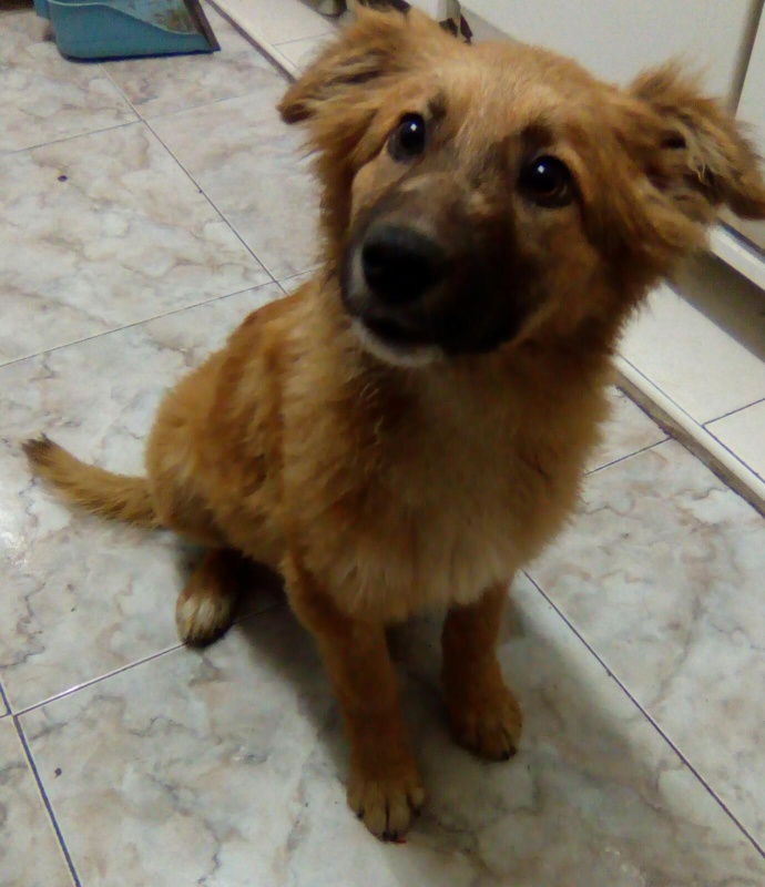 Foto Laguerza