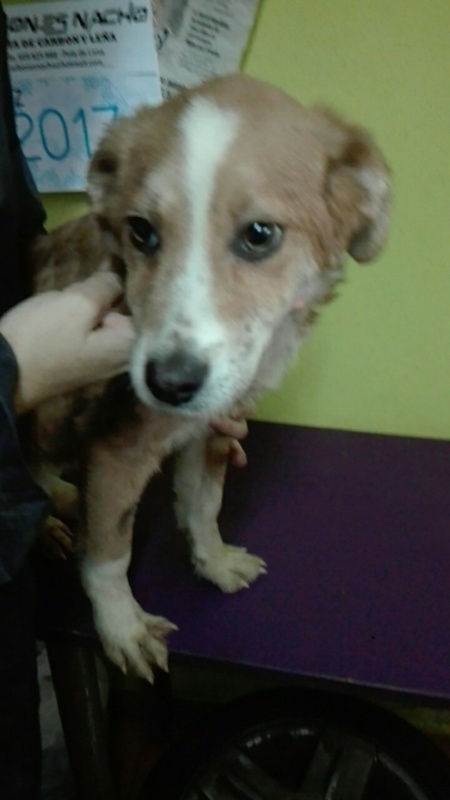 Foto Luke