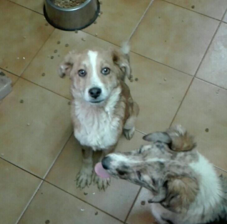 Foto Luke