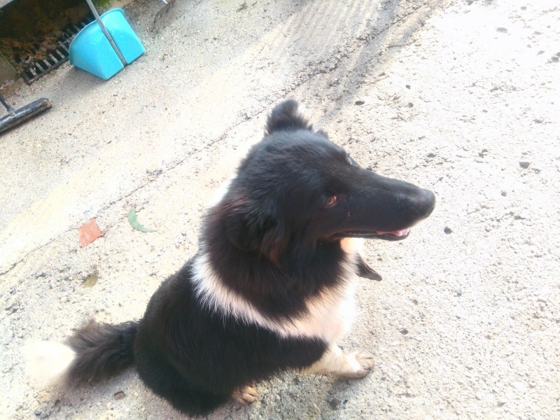 Foto Monchito