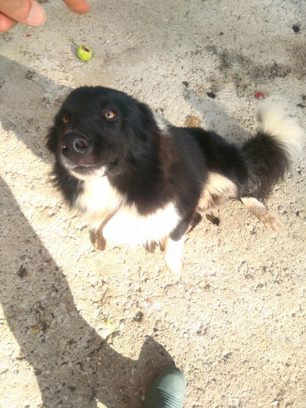Foto Monchito