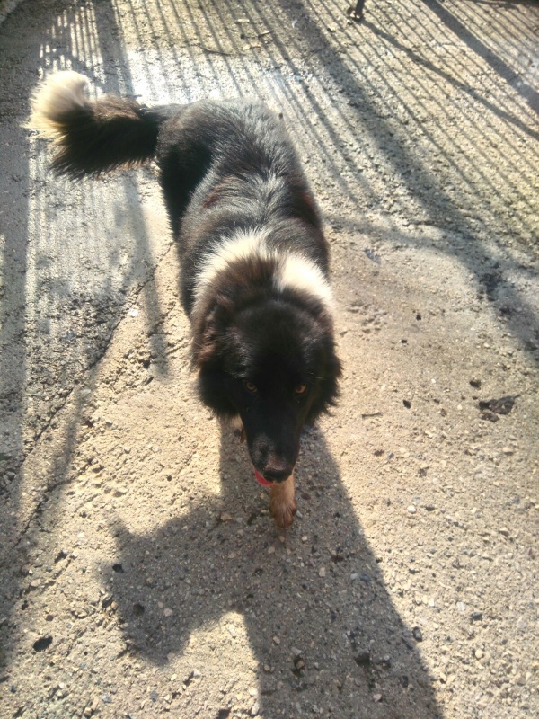 Foto Monchito