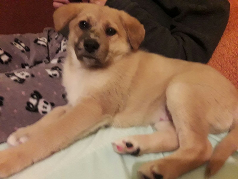 Foto Cumba