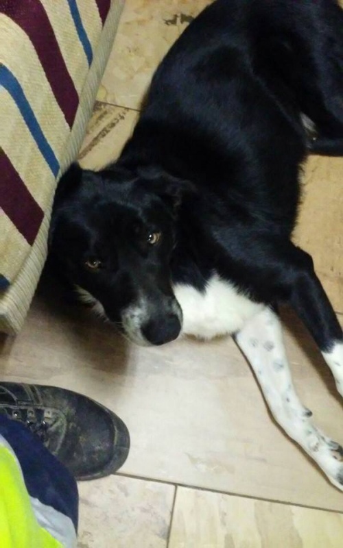 Foto Charly