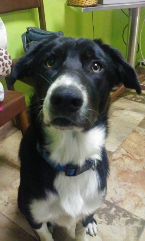 Foto Charly