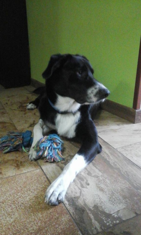 Foto Charly
