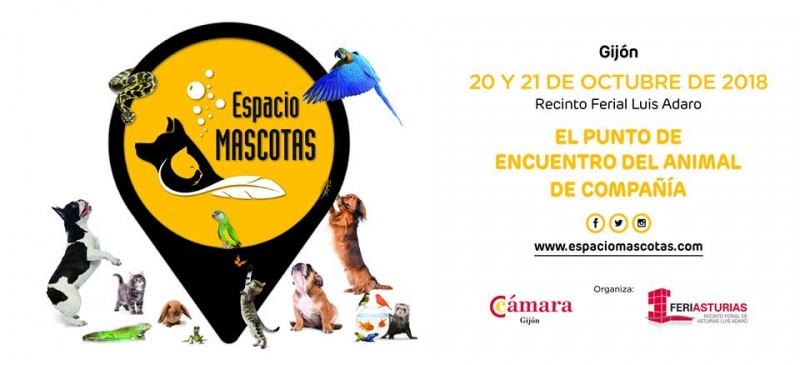 Foto Espacio Mascotas 2018, Gijón