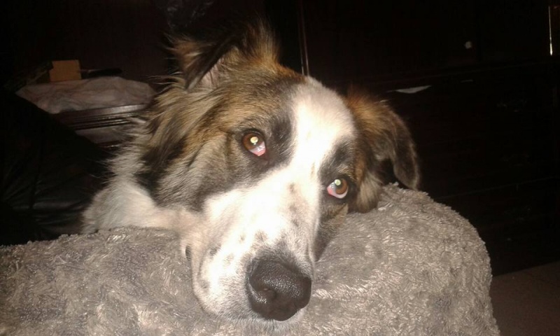 Foto Lola