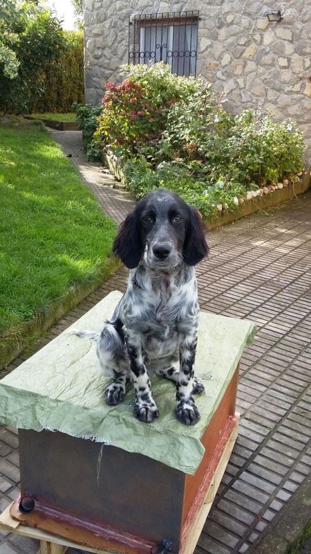 Foto Trulli