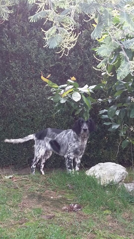 Foto Trulli
