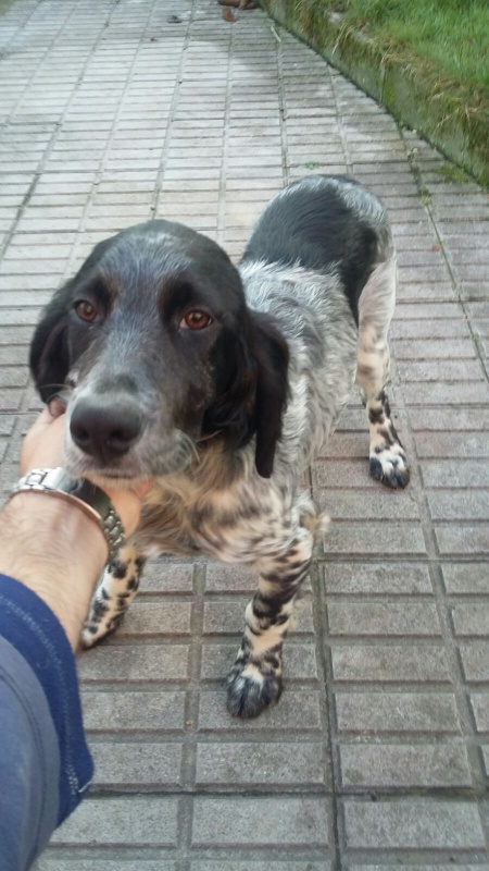 Foto Trulli