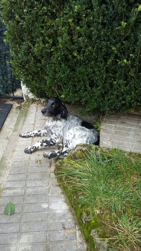Foto Trulli