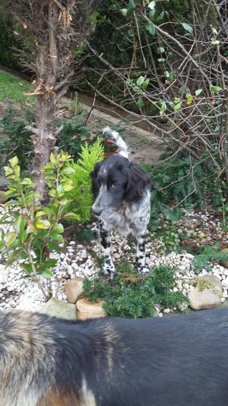 Foto Trulli