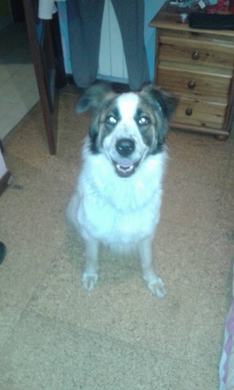Foto Lola
