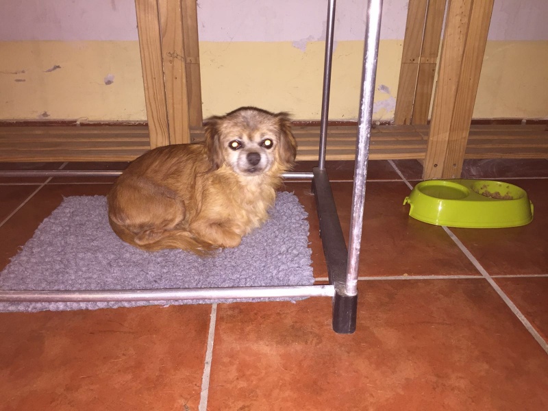 Foto Massiel 
