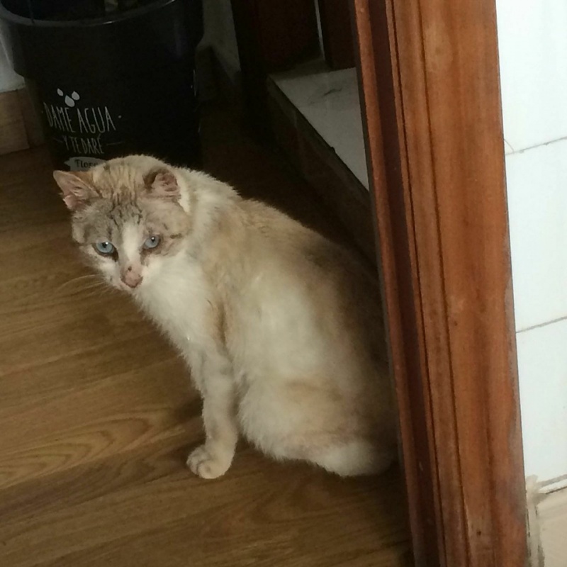 Foto Zunni