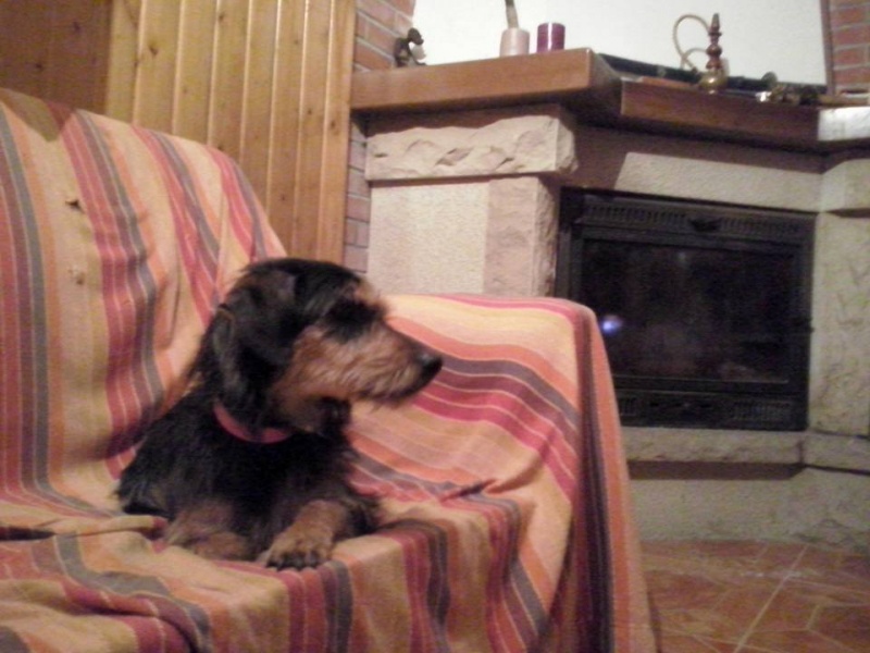 Foto Zara