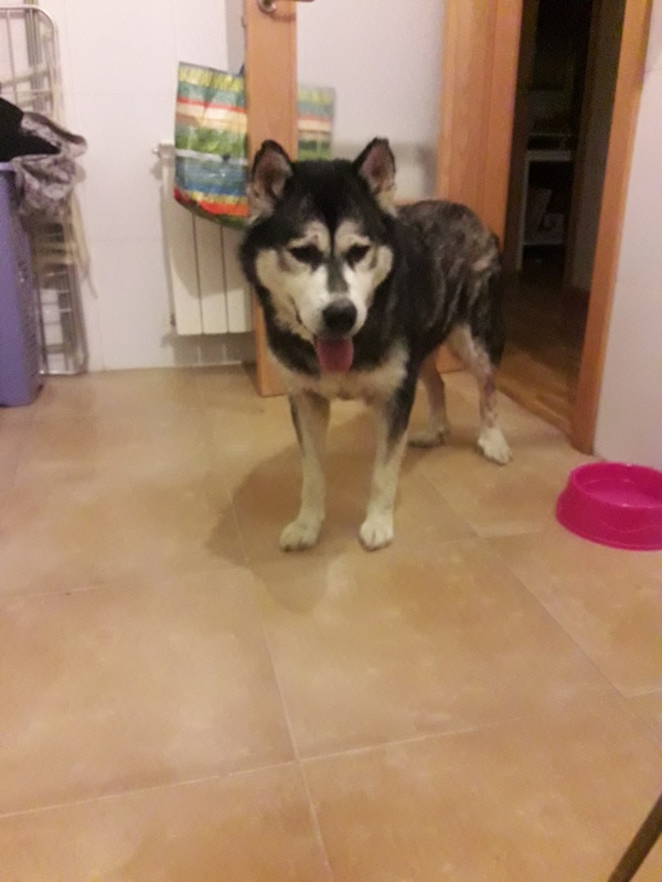 Foto Anouk