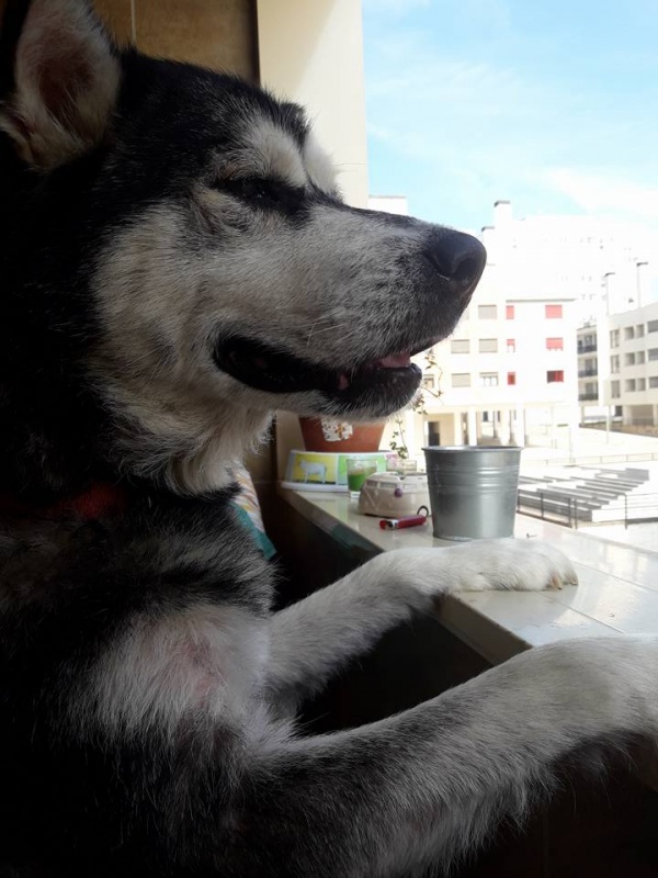 Foto Anouk