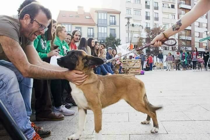 Foto Dumba
