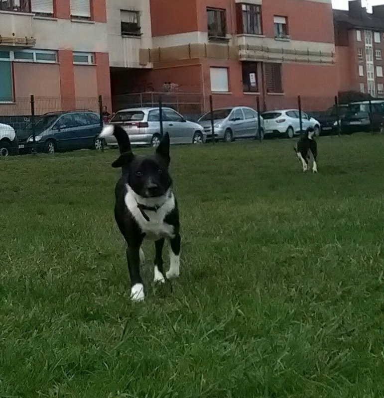 Foto Otto