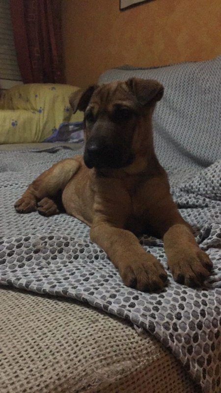 Foto YOKO