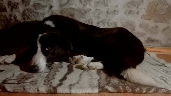 Foto lucas