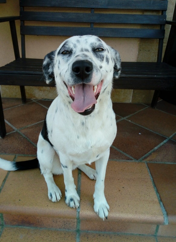 Foto DAMA