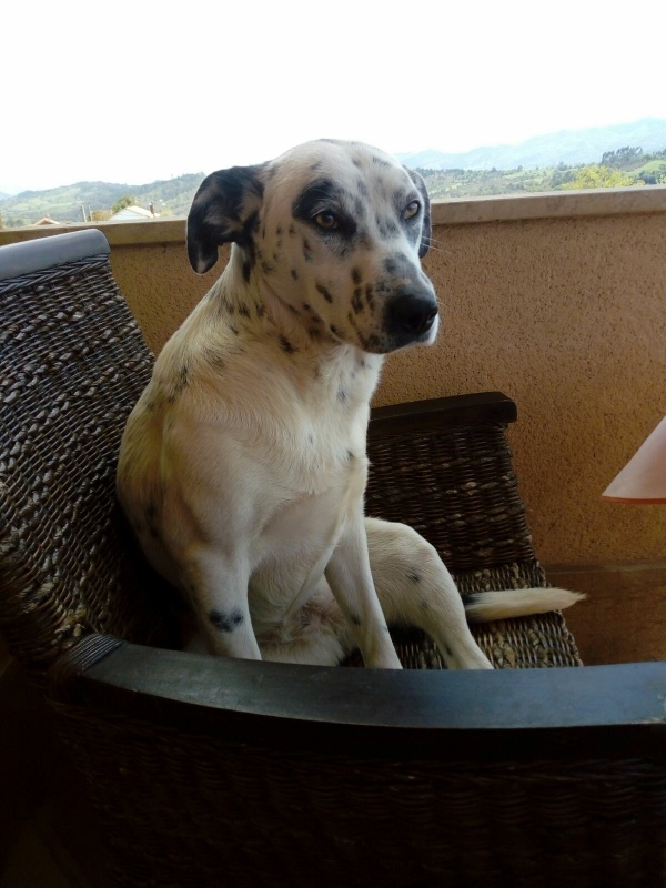 Foto DAMA