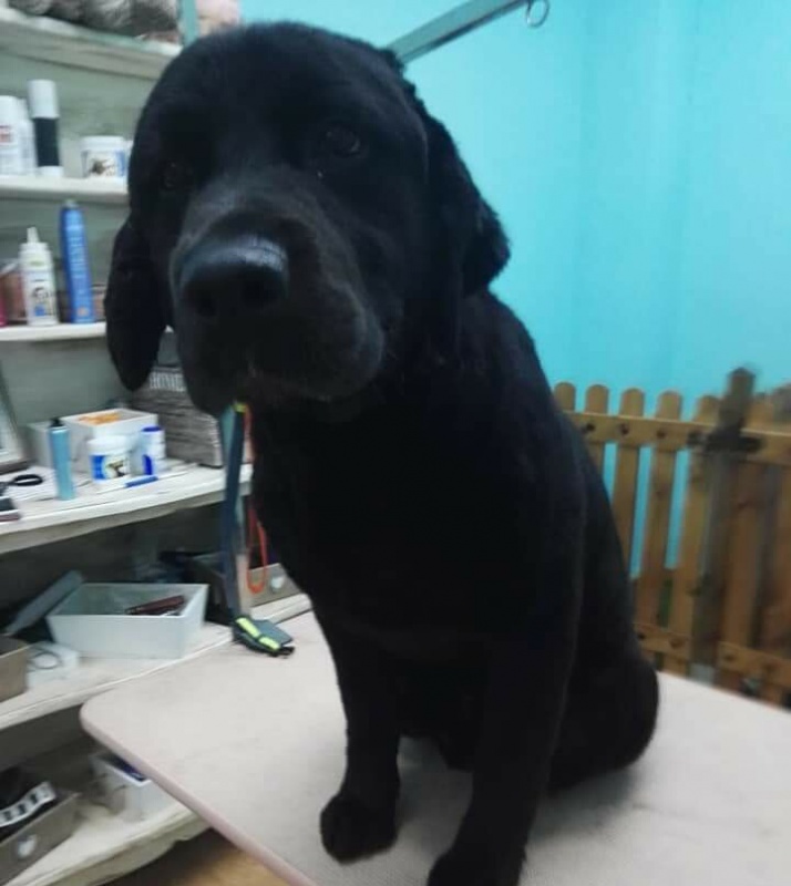 Foto BRUNO
