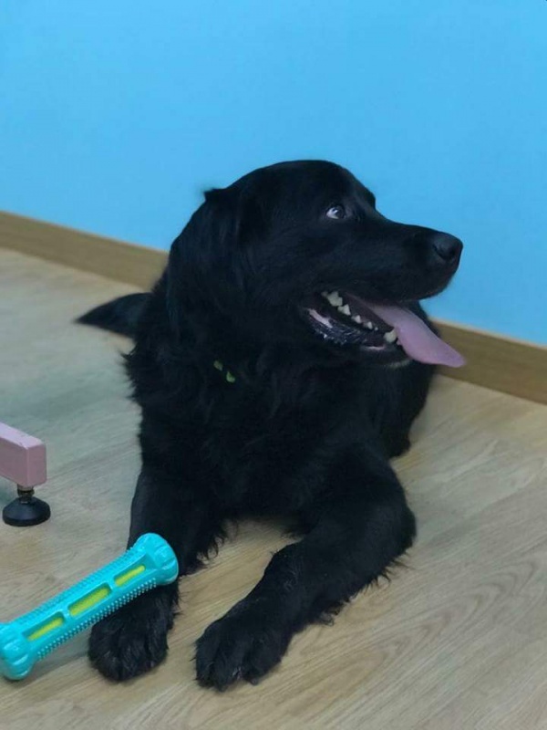 Foto BRUNO