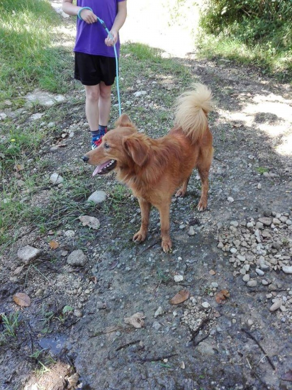 Foto ODIN