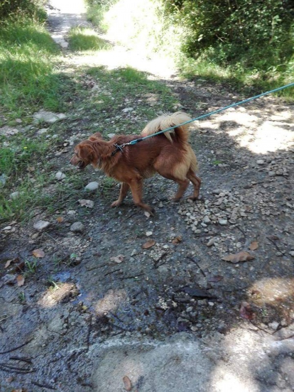 Foto ODIN