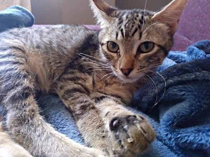 Foto BIBI