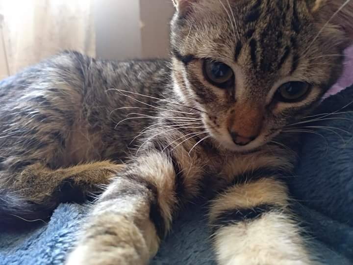 Foto BIBI