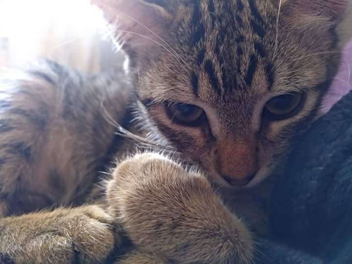 Foto BIBI