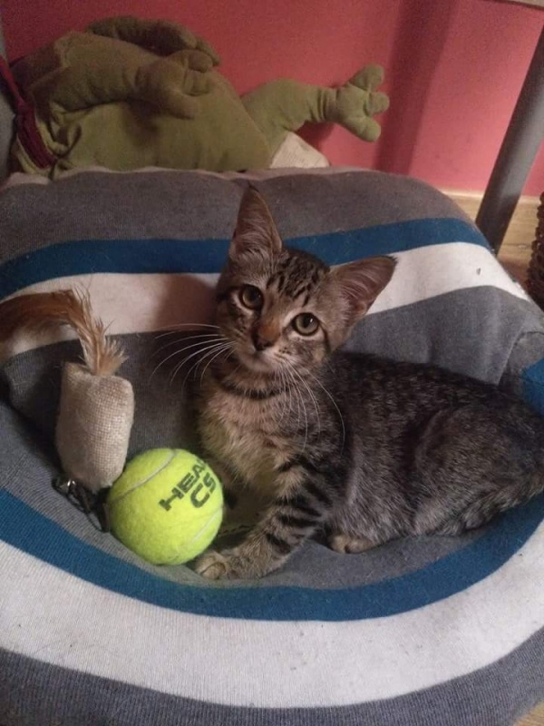 Foto BIBI
