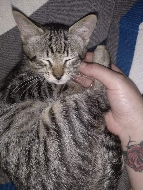 Foto BIBI