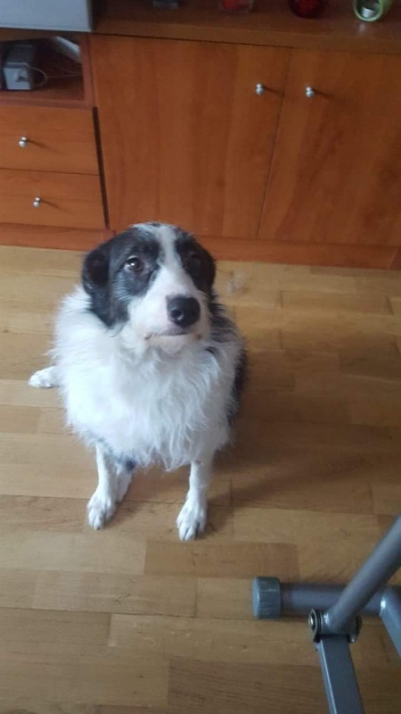 Foto PINA