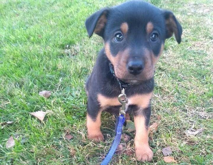 Foto WINSTON